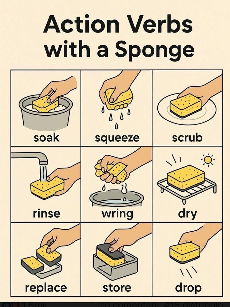 Action Verbs with a Sponge
